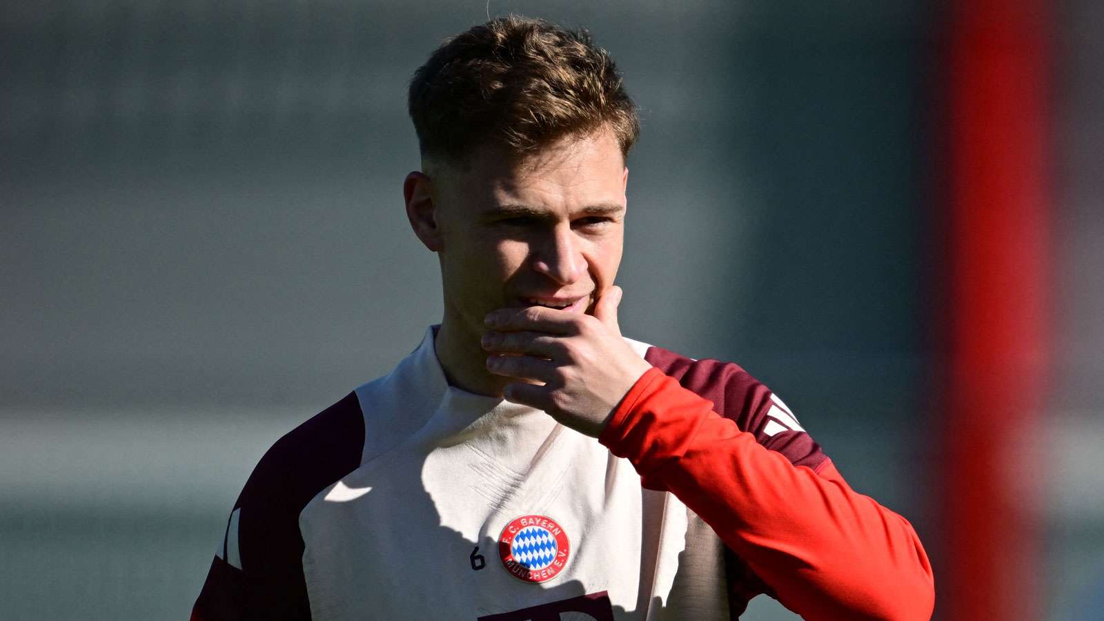 希望借助自 希望借助自